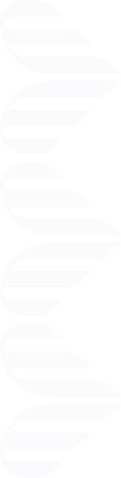 pattern alt